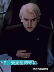 HP�������ǵ��ػ�